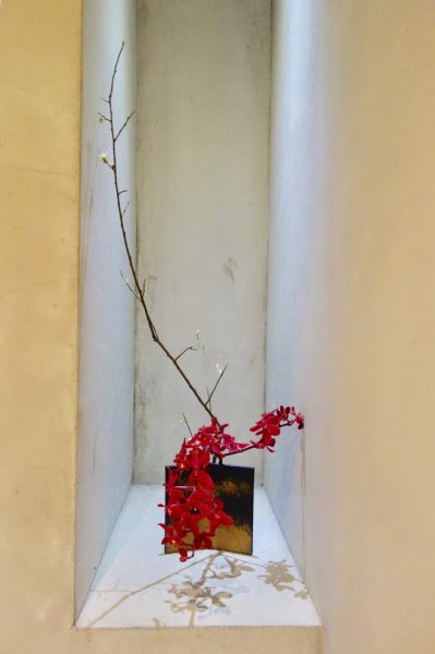 賀正-寒紅開屏