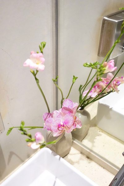 春日粉俏綠草如茵