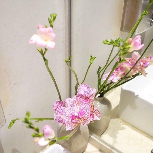 春日粉俏綠草如茵