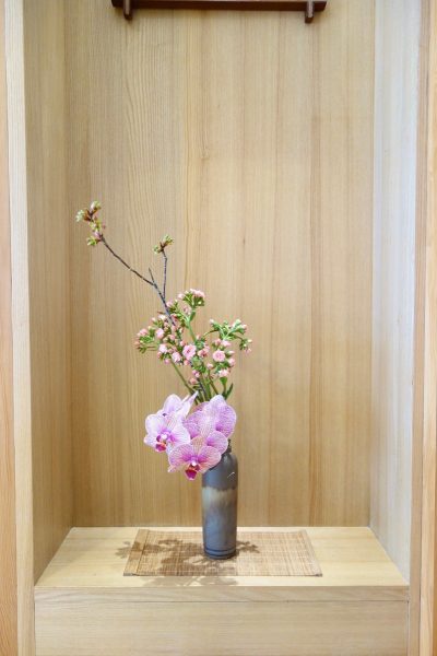 春日粉俏綠草如茵