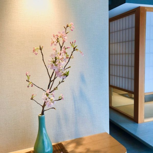 櫻花爛漫盛宴