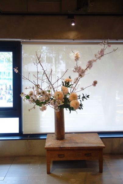 櫻花爛漫盛宴