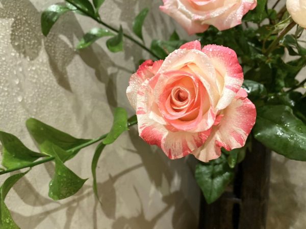 殘雪之春
