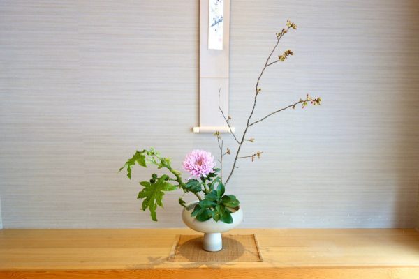 春日粉俏綠草如茵