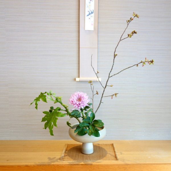 春日粉俏綠草如茵