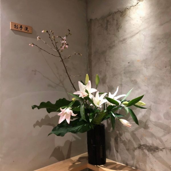 櫻花爛漫盛宴