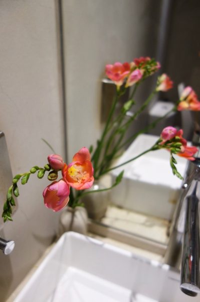 櫻花爛漫盛宴