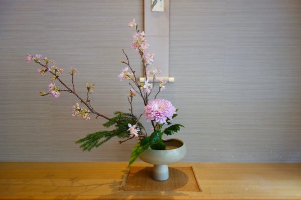櫻花爛漫盛宴