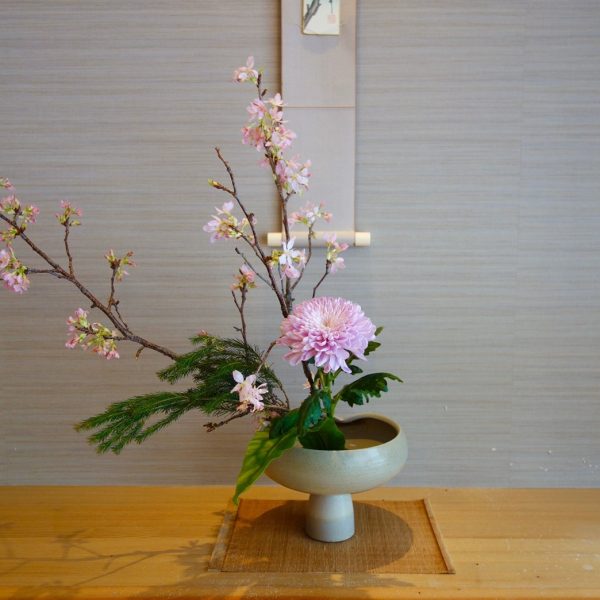櫻花爛漫盛宴
