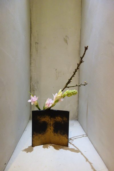 櫻花爛漫盛宴