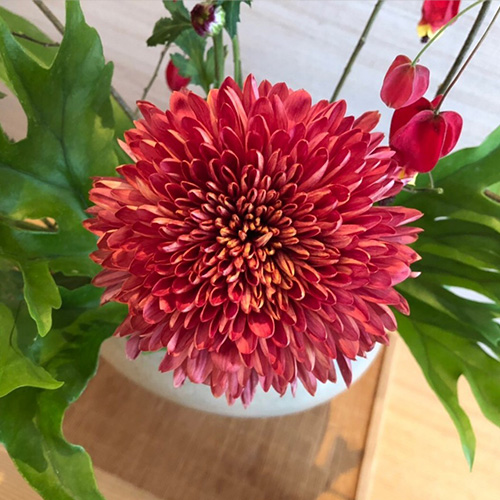 春、一雷啓花酒牛神始