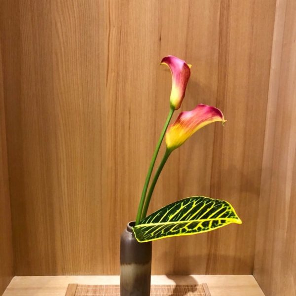金黃舞紛飛