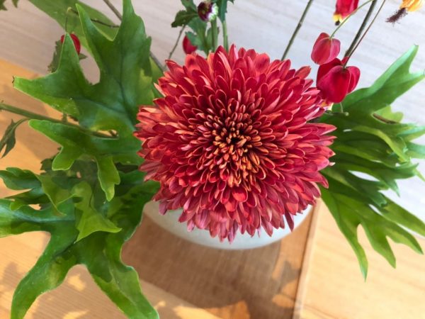 春、一雷啓花酒牛神始