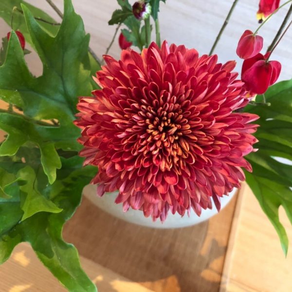 春、一雷啓花酒牛神始