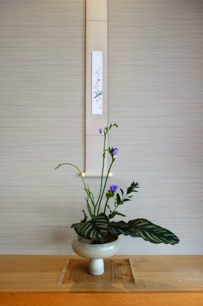 開屏春報喜