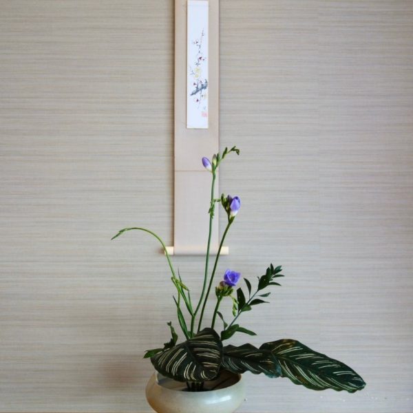 開屏春報喜