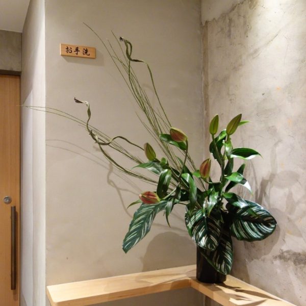 開屏春報喜
