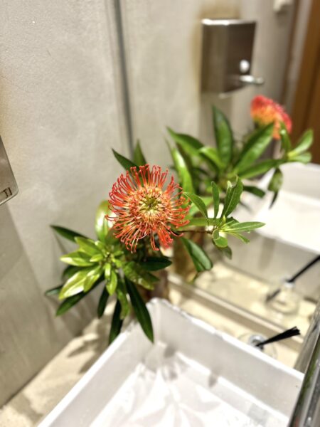 日式花藝