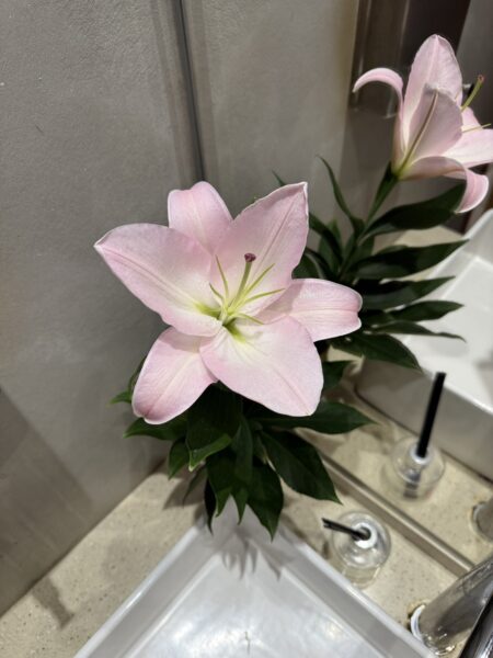 日式花藝、日式插花、店面花藝、花藝設計