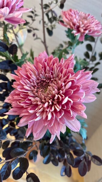 日式花藝、日式插花、店面花藝、花藝設計