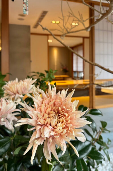日式花藝、日式插花、店面花藝、花藝設計